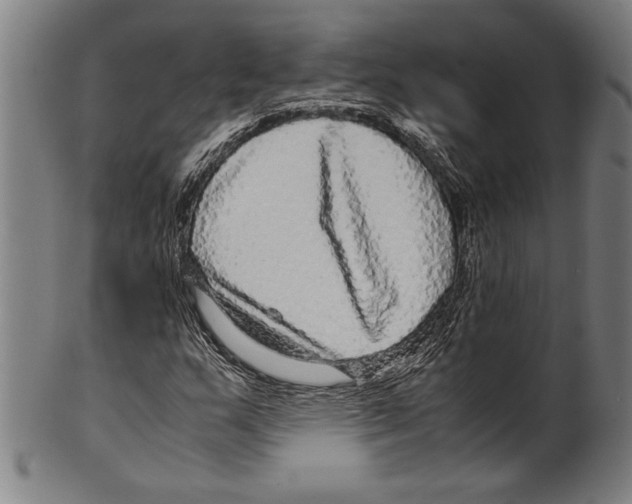 X0000099431159200806061012