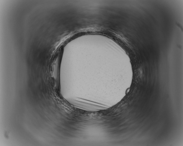 X0000099431160200806061012