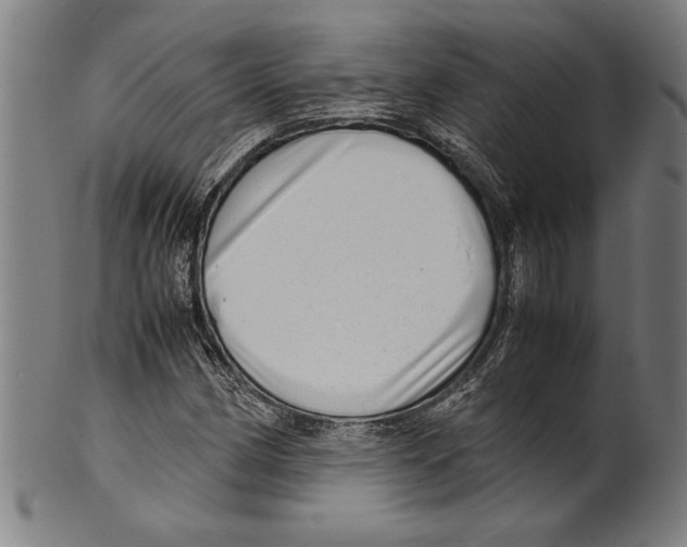 X0000099431162200806061012