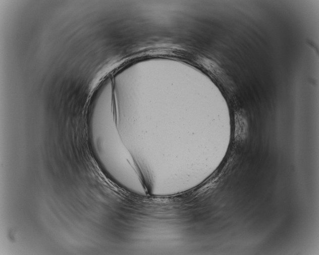 X0000099431164200806061012