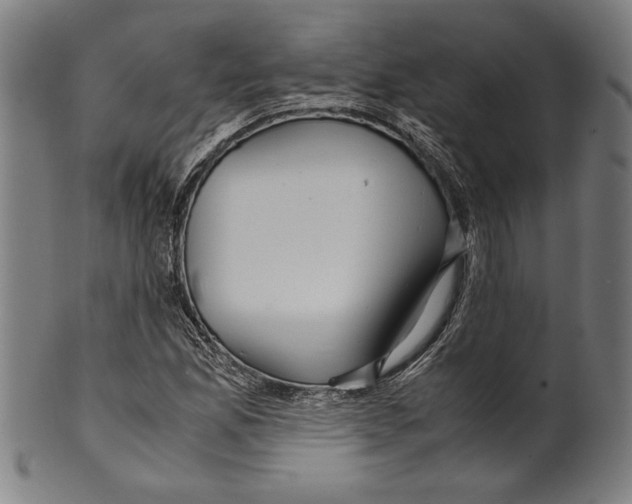 X0000099431165200806061012