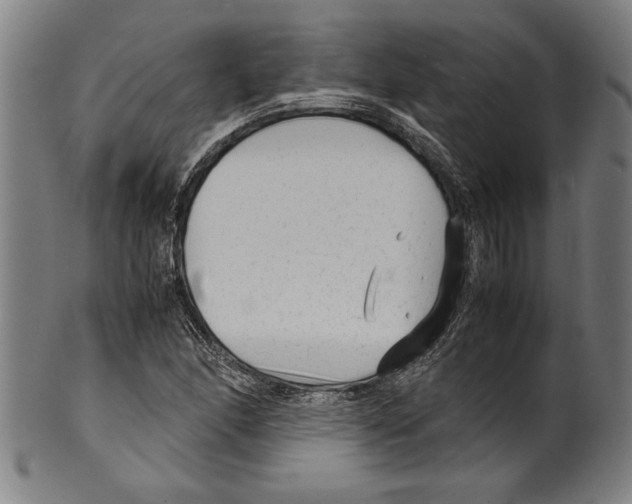 X0000099431166200806061012