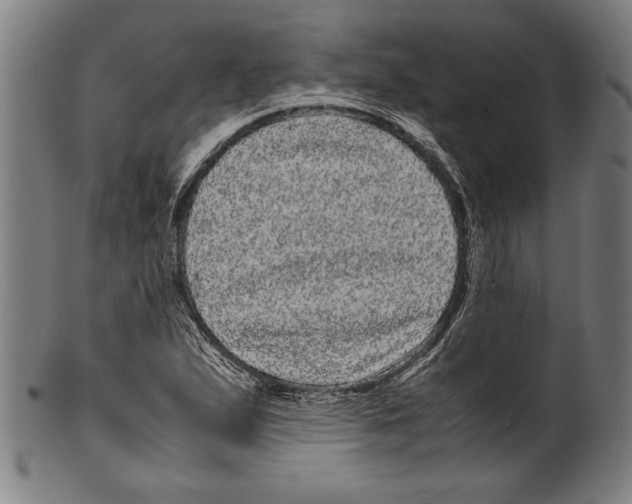 X0000099431167200806061012