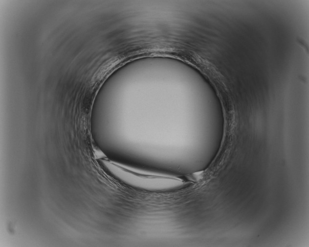 X0000099431169200806061012