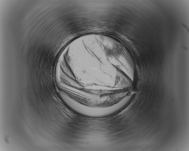 X0000099431170200806061012