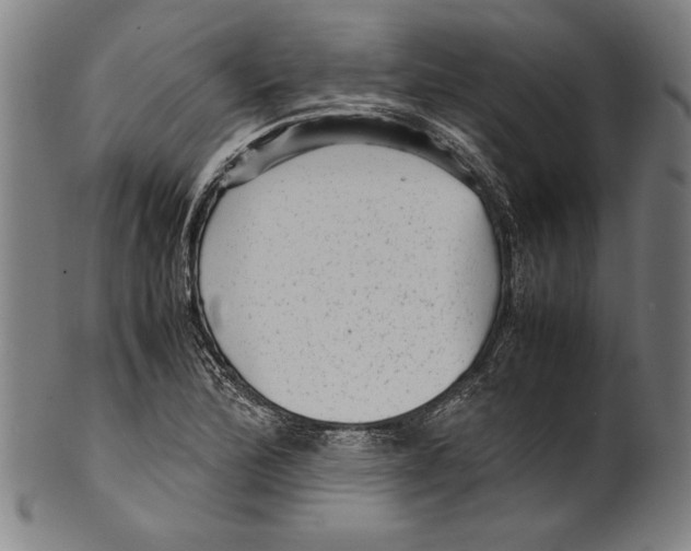 X0000099431172200806061012