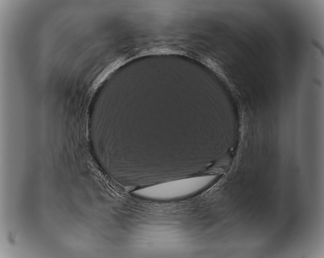 X0000099431173200806061012