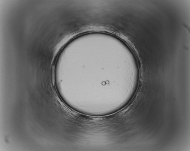 X0000099431175200806061012