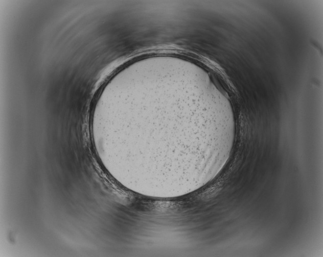 X0000099431176200806061012