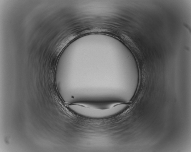 X0000099431177200806061012