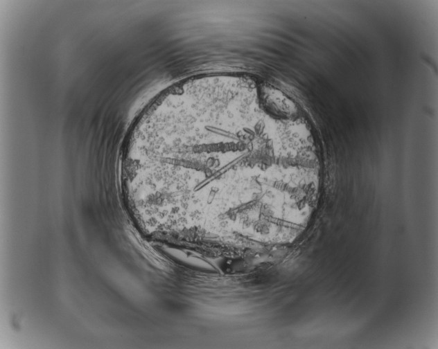 X0000099431179200806061012