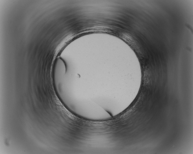 X0000099431180200806061012