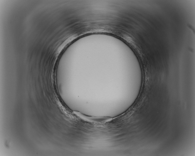 X0000099431181200806061012