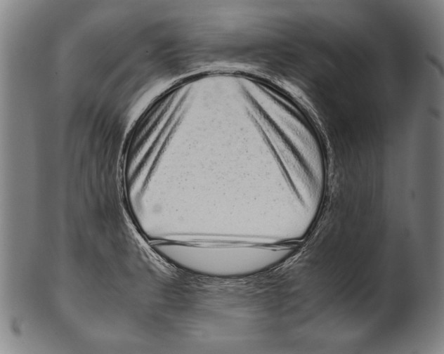 X0000099431183200806061012