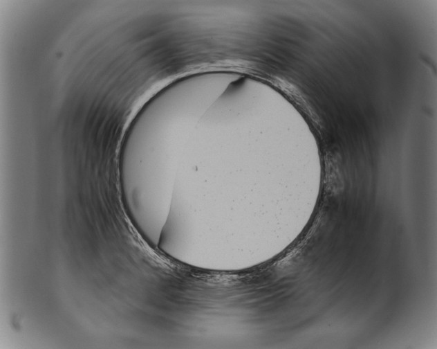 X0000099431184200806061011