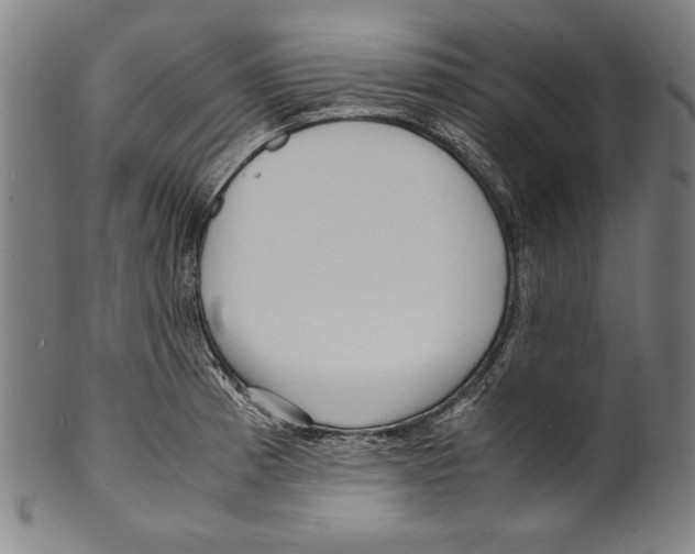 X0000099431185200806061011