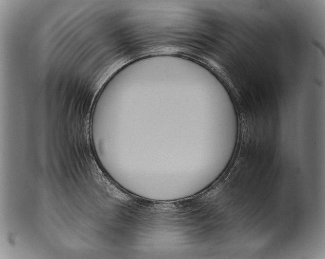 X0000099431186200806061011