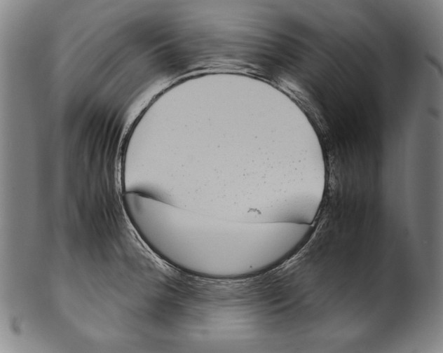 X0000099431188200806061011