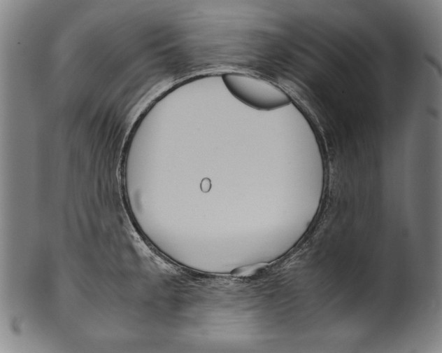 X0000099431189200806061011