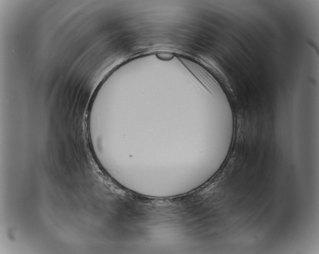 X0000099431190200806061011