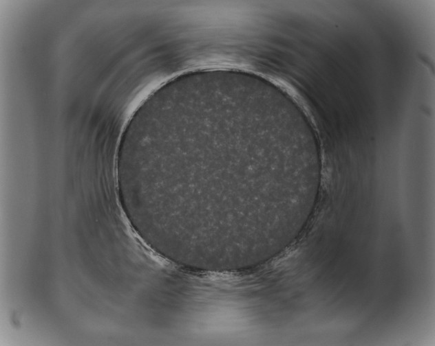 X0000099431191200806061011