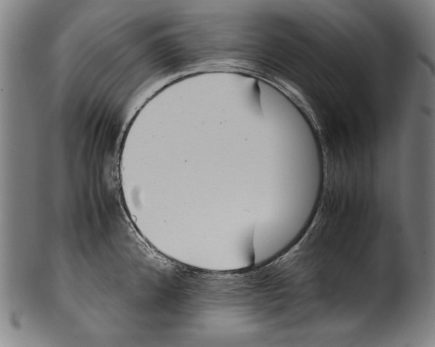 X0000099431192200806061011