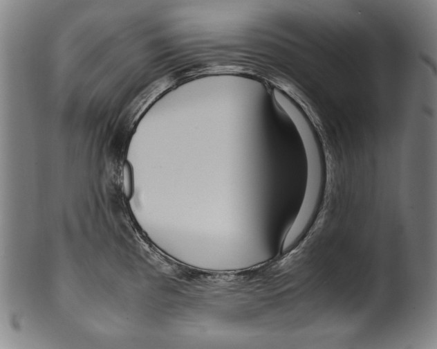 X0000099431193200806061011