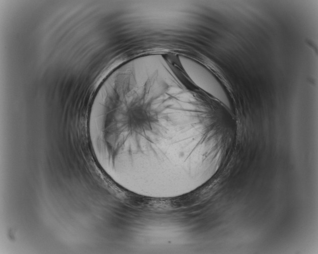 X0000099431194200806061011