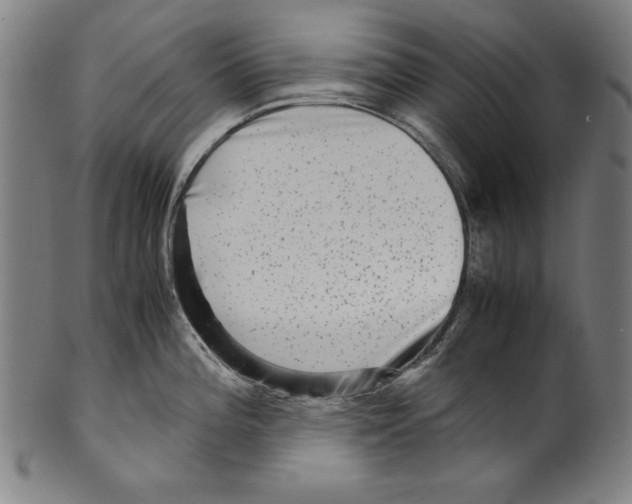 X0000099431196200806061011