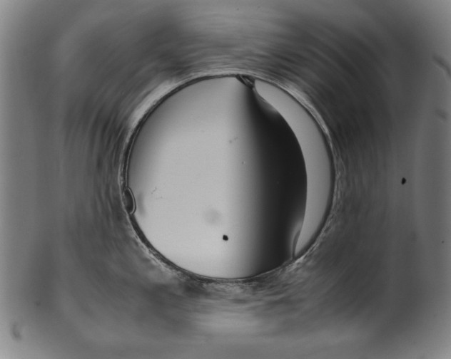 X0000099431197200806061011