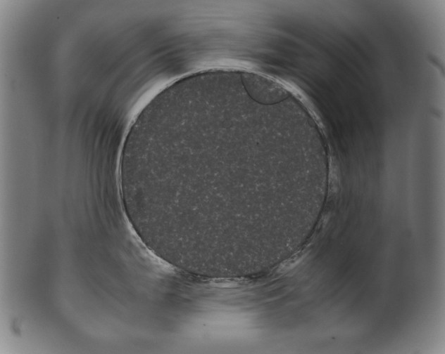 X0000099431199200806061011