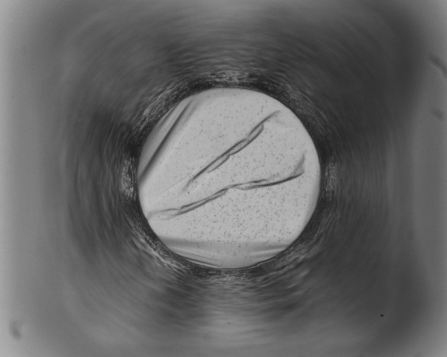 X0000099431202200806061011