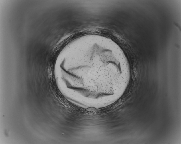 X0000099431206200806061011