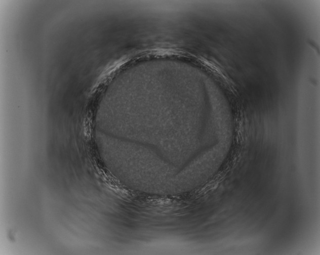 X0000099431207200806061011