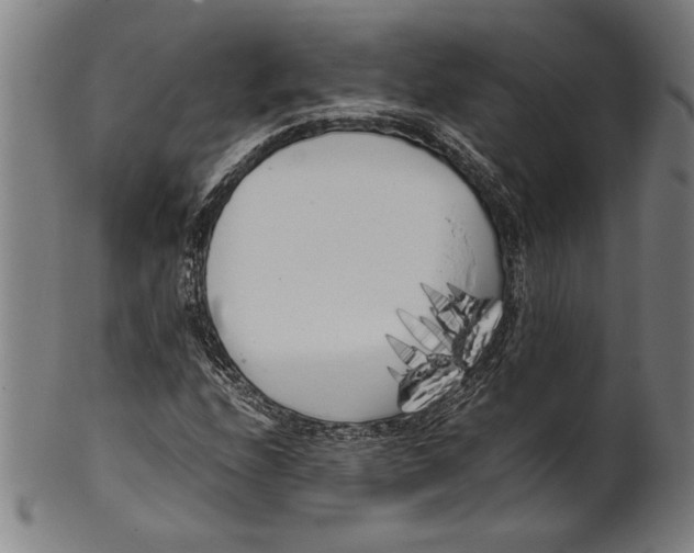 X0000099431208200806061011