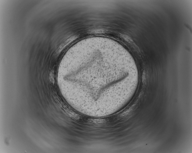 X0000099431209200806061011