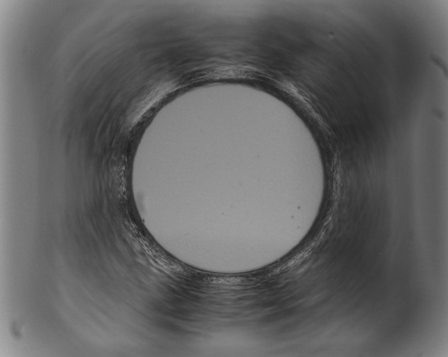 X0000099431211200806061011