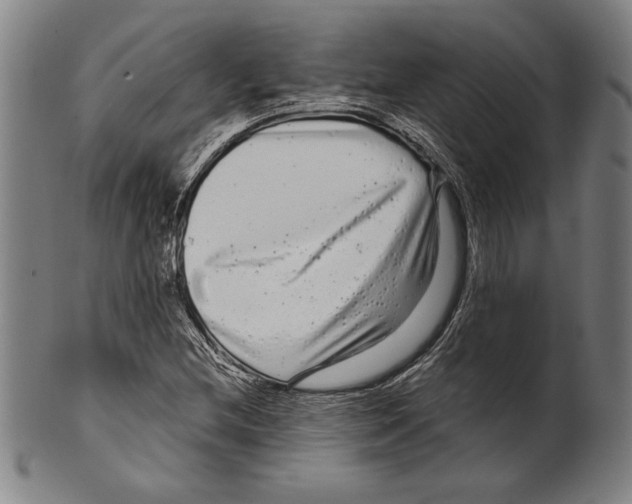 X0000099431212200806061011