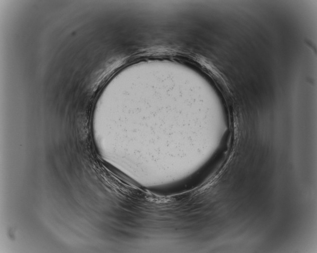 X0000099431213200806061011