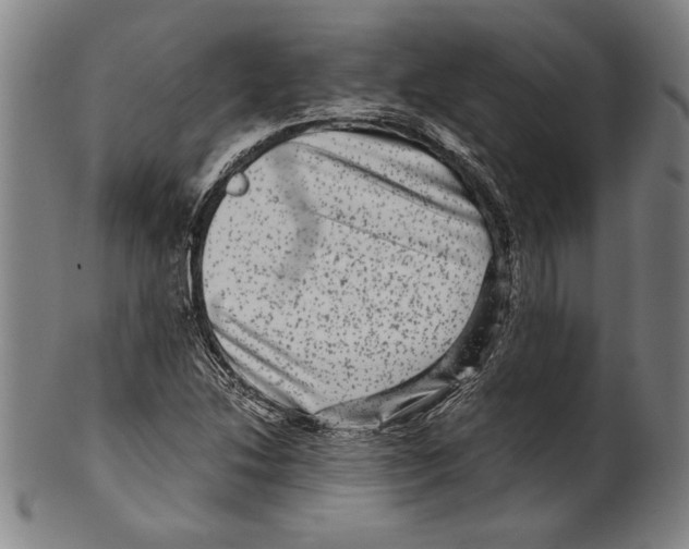 X0000099431214200806061011