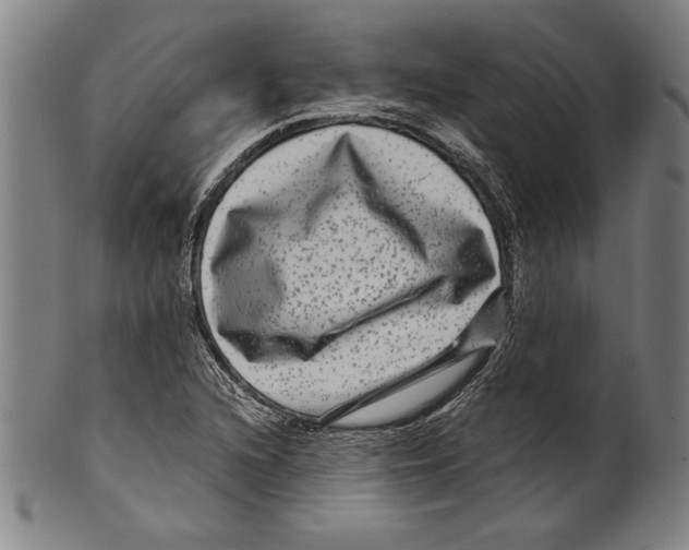 X0000099431216200806061011