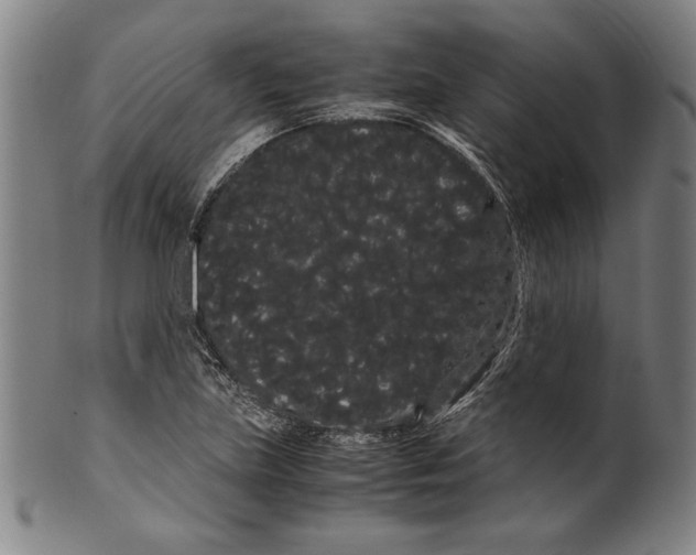 X0000099431219200806061011