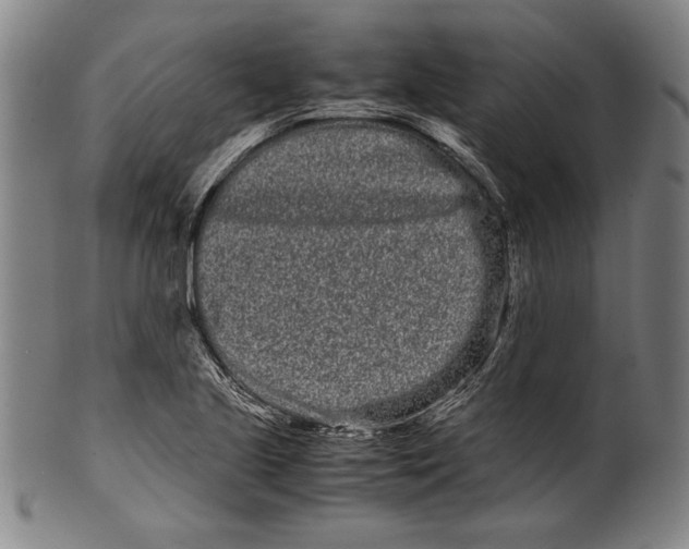 X0000099431221200806061011