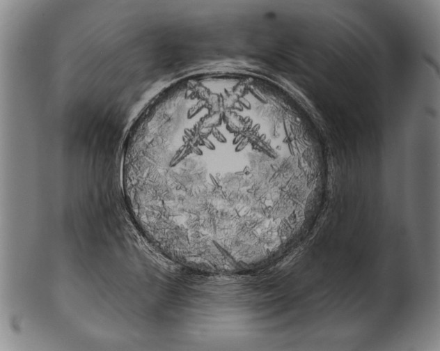 X0000099431224200806061011