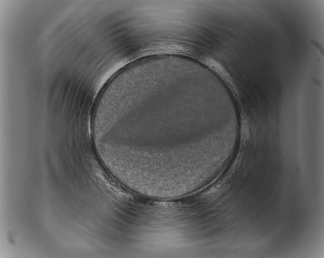 X0000099431226200806061011