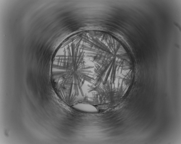 X0000099431228200806061011