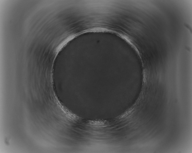 X0000099431229200806061011