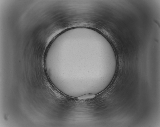 X0000099431230200806061011