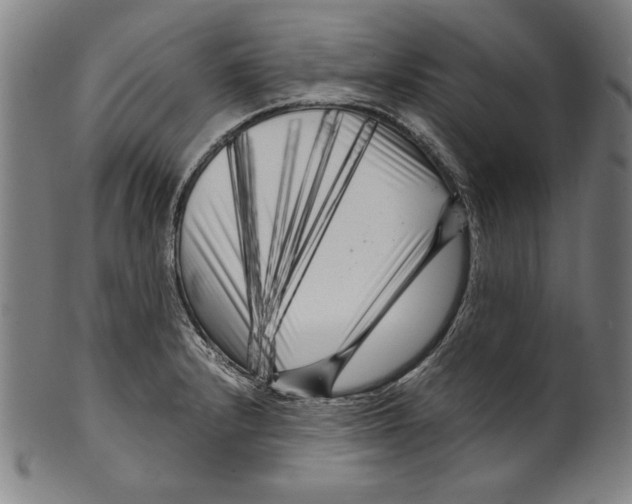 X0000099431232200806061011