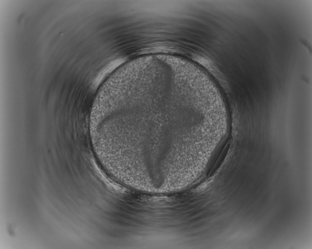 X0000099431233200806061011